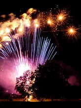 Feu d'artifice dans les arbres